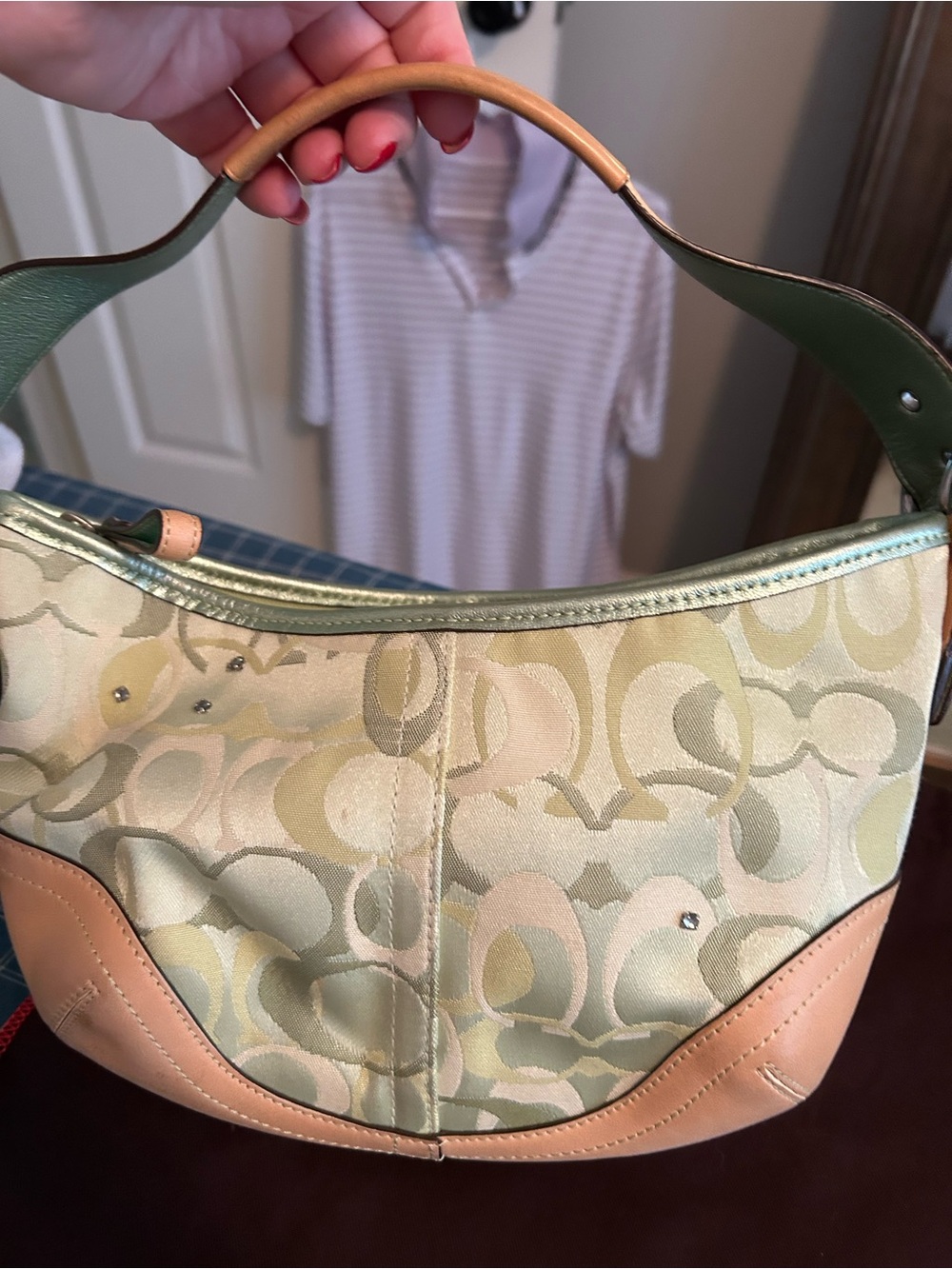 Coach Signature Hobo with Red Ladybug Accents — Green and Tan - Picture 3 of 6